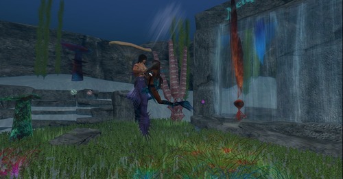 Web 55798c198da57267aa000001