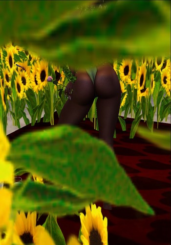 Web 5658399cf8a1ec0c68000001