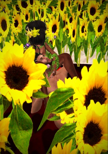 Web 565872a2128cc92477000001