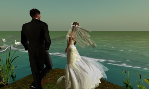 Web 5814be79b713f710d5000001