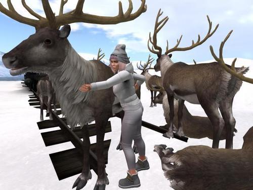 Web 5fc3d22ec6ffa6434e4ced9e