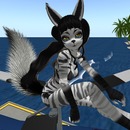 Thumb 57d1b620b713f73882000001