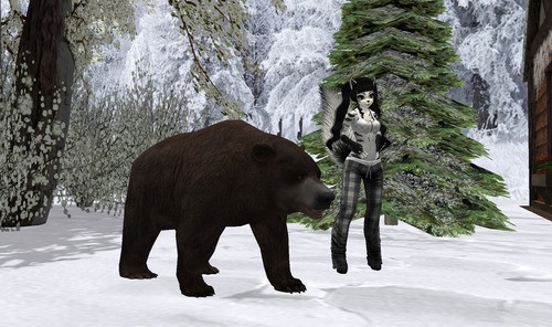 Web 58432bfce85cda1bfb000001