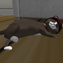 Thumb 54a2a777f8a1ec4684000001