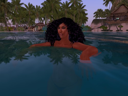 Web 53954344a73e215a9c000001