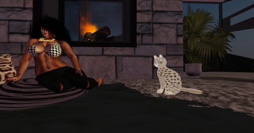 Web 54e9f416128cc94c79000001