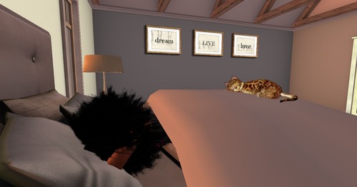 Web 55057273128cc910b3000001