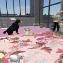 Thumb 600b29b16bfe3216c34e494f