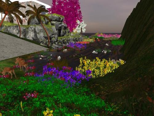 Web 5ec7477f289dd24dcaa116f6