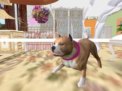 Web 5f041684d774f8698de4130c