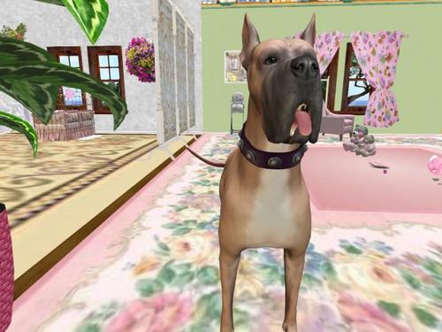 Web 5f0794dad9859c6991f23c6a