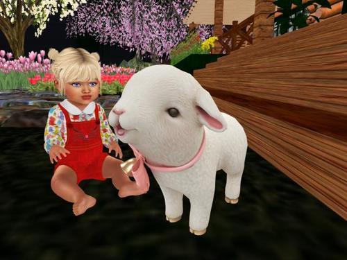 Web 5f25ce08d774f871fc4a4aaa