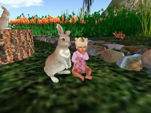 Web 5f285201d774f846058b5a48