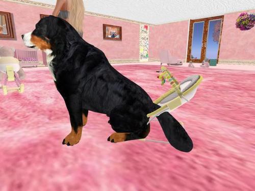 Web 60eb45786f382b15fe287a8a