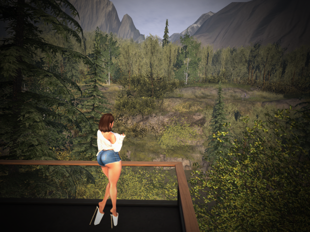 Original 653fb48595dcc90ca74c7984