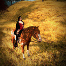 Thumb 67127cc772ff2f67f023f04a