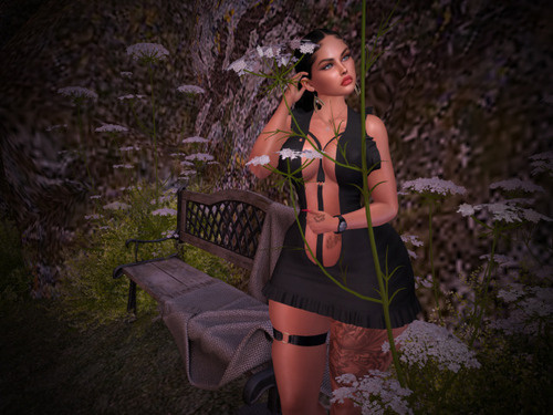 Web 65353384a4e9677aaeccac69