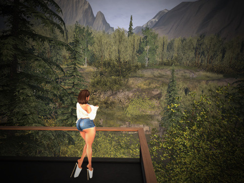 Web 653fb48595dcc90ca74c7984