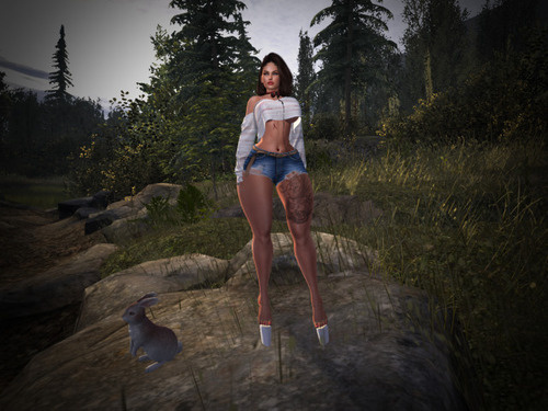 Web 653fb8517db0ca2cb5764f4d