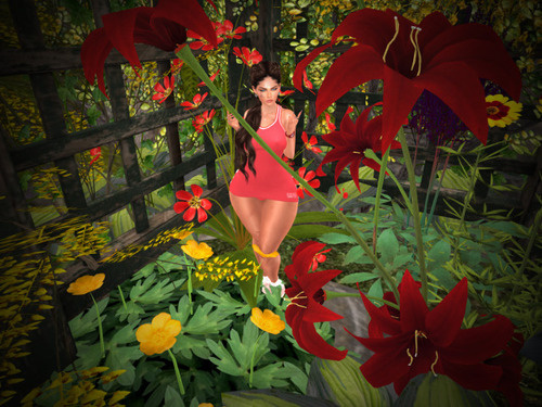 Web 6682855a16e89256f497a87c