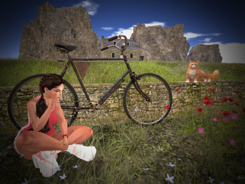 Web 66828f1fc3dd17312c661dfd