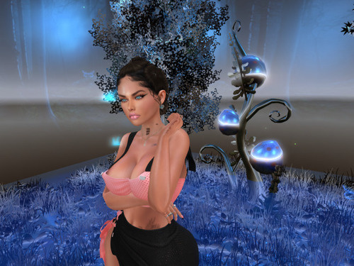 Web 668b9af11ec7637355f13bab