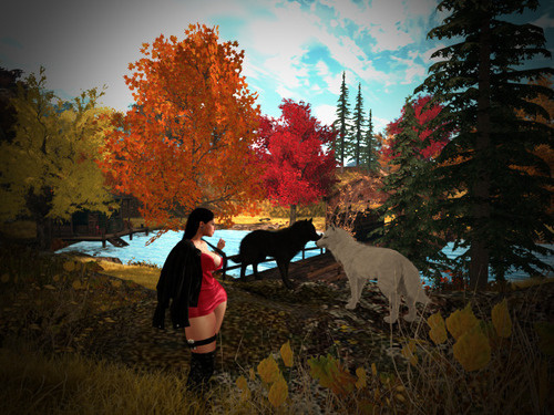 Web 67127b048290791633f46d5c