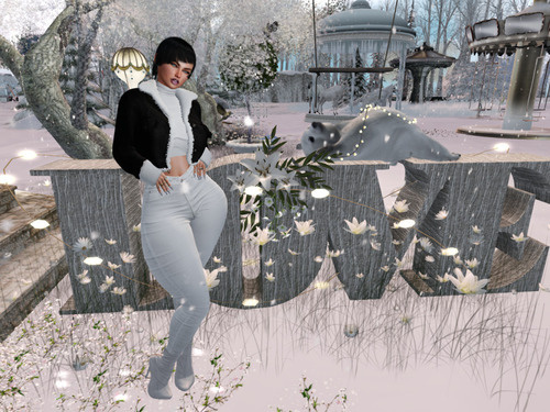 Web 673bfe505672853719974de7