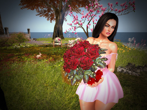 Web 674b463c1b25f07f46d0c0a5