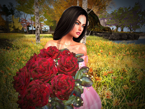 Web 674b49b2018f0302a1d3637d