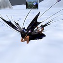 Thumb 525b73e930aa376e19000001