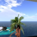 Thumb 532c42f5f8a1ec7261000001