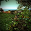 Thumb 56ed46c8e85cda2533000001