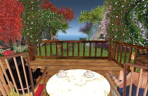 Web 5537e178a73e213bb5000001