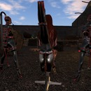 Thumb 575157a3f8a1ec133f000001