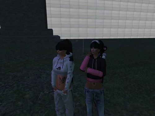 Web 52815e32dba8fd5990000001