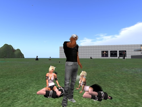 Web 5282befa8af994741b000001