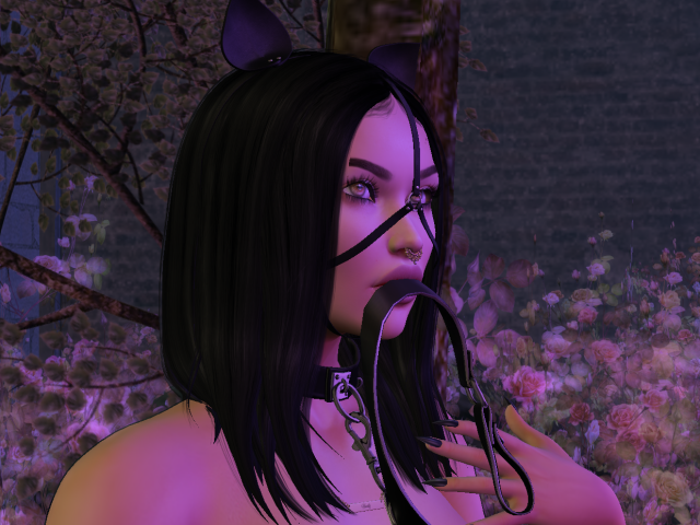 Original 591699a373ed1703e7000001