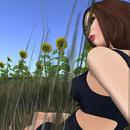 Thumb 5a88152bd9859c646c000001