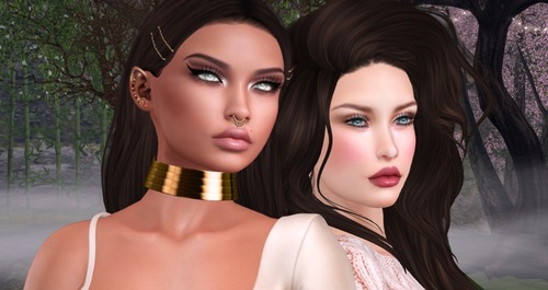 Web 5809be5ff8a1ec6549000001