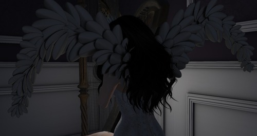 Web 58103918b015405287000001