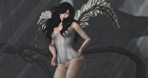 Web 58156f90b01540620c000001