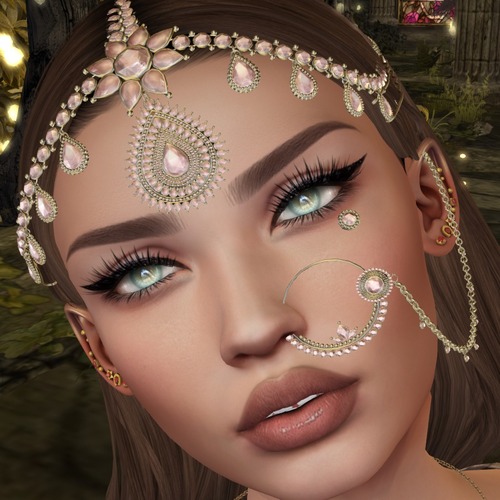 Web 5822e173f8a1ec49c5000001