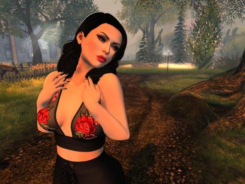 Web 59110235d774f8203b000001