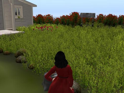 Web 5913b2c8d9859c341d000001