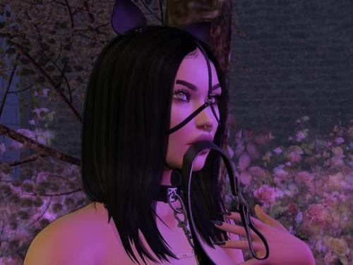 Web 591699a373ed1703e7000001