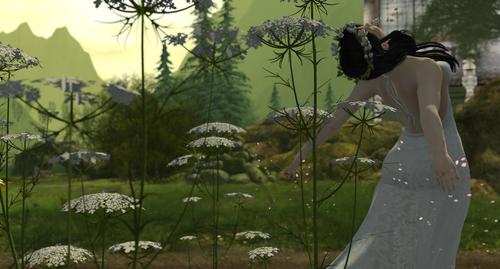 Web 59263ab973ed173bbb000001