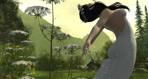 Web 59263b02289dd234d3000001