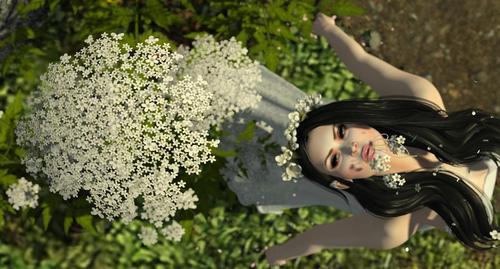 Web 5926413d289dd27065000001