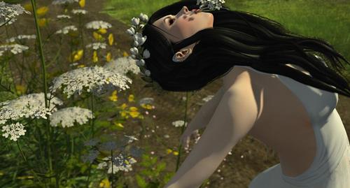 Web 5926425e289dd2778f000001